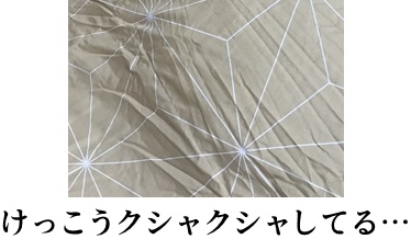 クシャクシャ